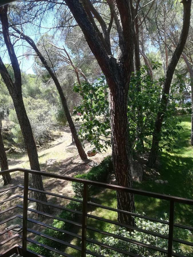 El Mirador De Bacha Lejlighed San Martín de Valdeiglesias Eksteriør billede